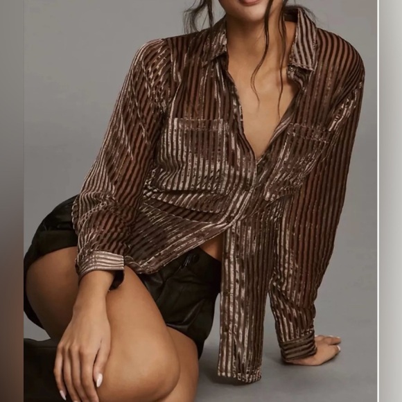 Anthropologie Pilcro Velvet Sheer Burnout Blouse Brown XS - Picture 1 of 8